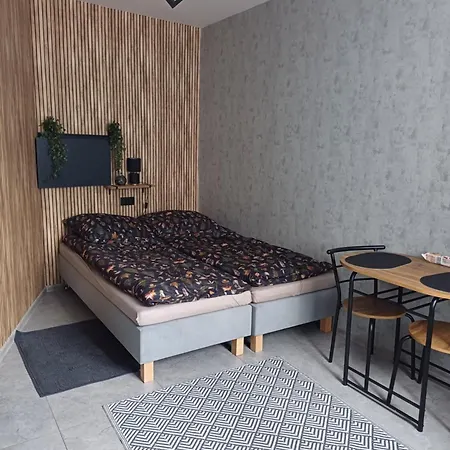 Rajca - Mieszkanie Przy Jasnej Gorze Appartement Częstochowa